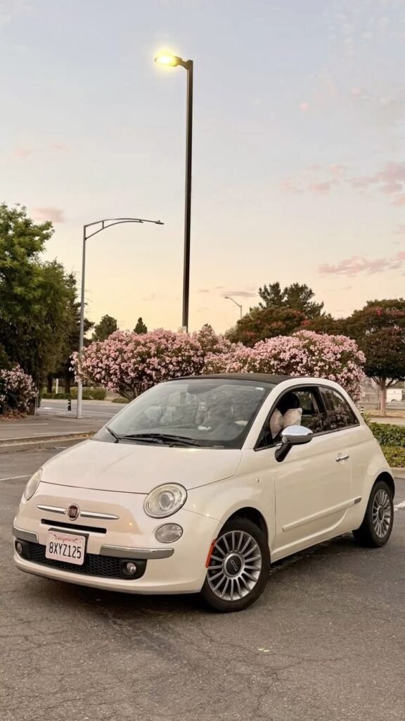سيارات فيات (Fiat) في الجزائر: الأسعار، الموديلات المتوفرة، ومدة التسليم